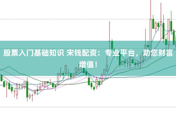 股票入门基础知识 宋钱配资：专业平台，助您财富增值！