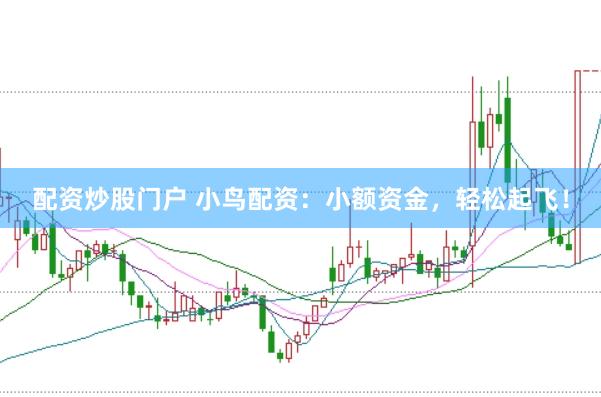 配资炒股门户 小鸟配资：小额资金，轻松起飞！