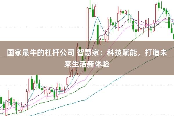 国家最牛的杠杆公司 智慧家：科技赋能，打造未来生活新体验