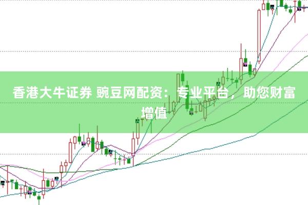 香港大牛证券 豌豆网配资：专业平台，助您财富增值