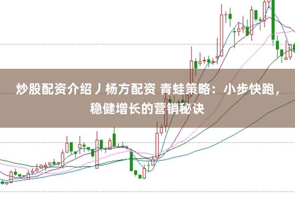 炒股配资介绍丿杨方配资 青蛙策略：小步快跑，稳健增长的营销秘诀