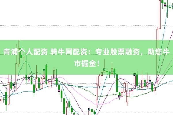 青浦个人配资 骑牛网配资：专业股票融资，助您牛市掘金！