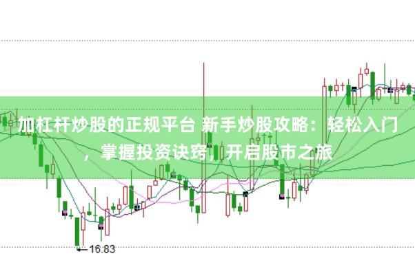 加杠杆炒股的正规平台 新手炒股攻略：轻松入门，掌握投资诀窍，开启股市之旅