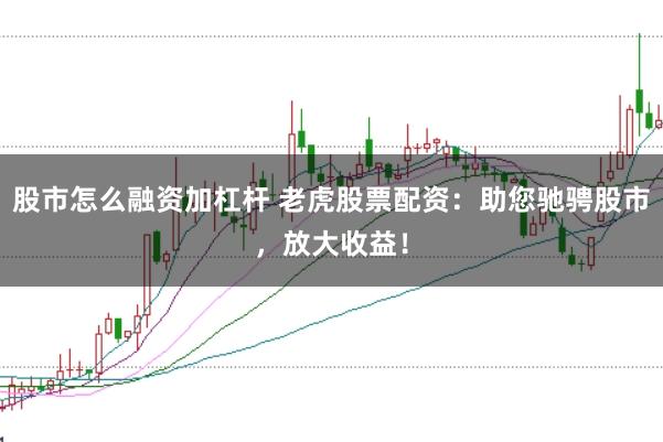 股市怎么融资加杠杆 老虎股票配资：助您驰骋股市，放大收益！