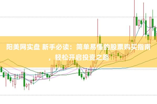 阳美网实盘 新手必读：简单易懂的股票购买指南，轻松开启投资之路