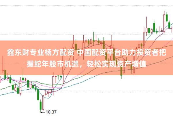 鑫东财专业杨方配资 中国配资平台助力投资者把握蛇年股市机遇,轻松实现资产增值