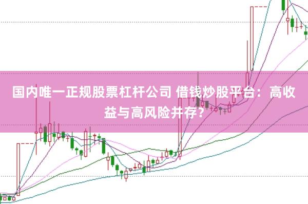 国内唯一正规股票杠杆公司 借钱炒股平台:高收益与高风险并存?
