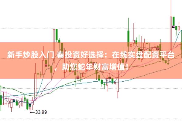 新手炒股入门 春投资好选择:在线实盘配资平台,助您蛇年财富增值!