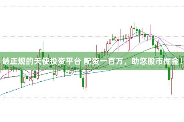 最正规的天使投资平台 配资一百万,助您股市掘金!