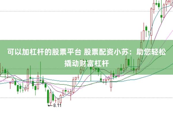 可以加杠杆的股票平台 股票配资小苏:助您轻松撬动财富杠杆