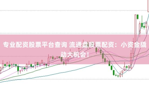 专业配资股票平台查询 流通盘股票配资：小资金撬动大机会！