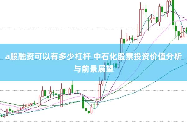 a股融资可以有多少杠杆 中石化股票投资价值分析与前景展望